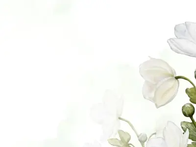 Tổng hợp background tường hoa tuyệt đẹp dành cho thiết kế