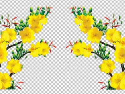 Tổng hợp bộ sưu tập background cây mai rực rỡ đón xuân