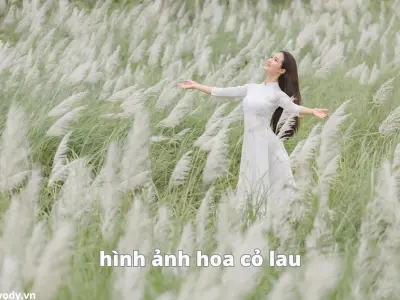 Tổng hợp bộ sưu tập background hoa cỏ mùa xuân nhẹ nhàng tinh tế