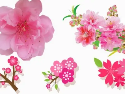 Tổng hợp bộ sưu tập background hoa đào tết đẹp nhất rực rỡ đón xuân