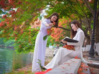 Tổng hợp bộ sưu tập hình nền ảnh hoa phượng đẹp rực rỡ nhất 2026