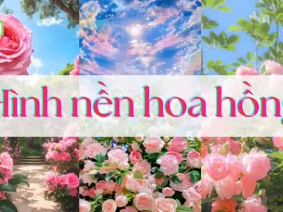 Tổng hợp bộ sưu tập hình nền bông hồng đẹp lãng mạn siêu sắc nét