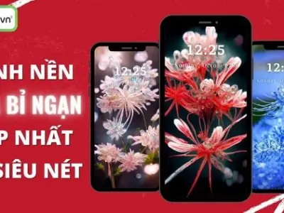 Tổng hợp bộ sưu tập hình nền hoa bi trắng đẹp lung linh