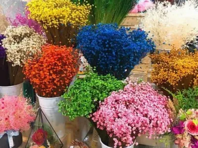 Tổng hợp bộ sưu tập hình nền hoa khô đẹp mộc mạc và tĩnh lặng