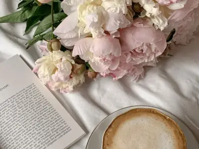 Tổng hợp bộ sưu tập hình nền hoa mẫu đơn may mắn cực đẹp chất lượng cao