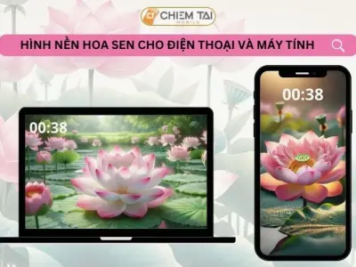 Tổng hợp bộ sưu tập hình nền hoa sen 4k tuyệt đẹp