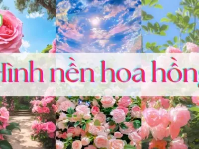 Tổng hợp hình nền điện thoại bông hoa cực đẹp và sắc nét