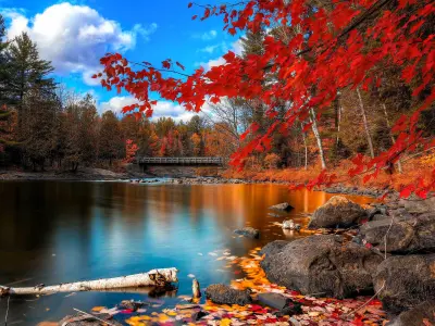 Tổng hợp thư viện background đẹp 16 9 độ phân giải 4k siêu nét