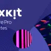 Tổng hợp bộ sưu tập background premiere chất lượng cao tuyệt đẹp