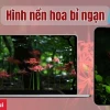 Chiêm ngưỡng hình ảnh hoa bỉ ngạn đẹp nhất và ý nghĩa sâu sắc