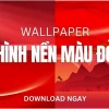 Khám phá thế giới hình nền màu đỏ cute: Sắc màu rực rỡ cho thiết bị của bạn