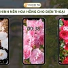 Khám phá Top 200+ Hình nền Hoa hồng Đỏ Đẹp Nhất 2026