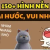 Khám phá Top Hình nền Máy tính Vô tri Cute & Hài hước 2026
