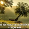 Khám phá vẻ đẹp vô tận: Tuyển tập phông nền thiên nhiên đỉnh cao