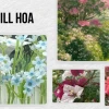 Tải hình nền điện thoại chill hoa: Tuyển tập hình nền hoa tulip đẹp nhất 2026