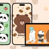 Tổng hợp hình nền gấu nâu cute làm đẹp màn hình điện thoại 2026