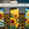 Tuyển chọn 100+ hình nền hoa hướng dương 4k rực rỡ cho mọi thiết bị
