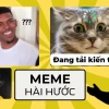 Tuyển Tập Hình Nền Bựa Cute Độc Đáo Cho Năm 2026