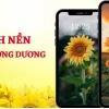 Tuyển Tập Hình Nền Máy Tính Đẹp Với Hoa Tươi Rạng Rỡ