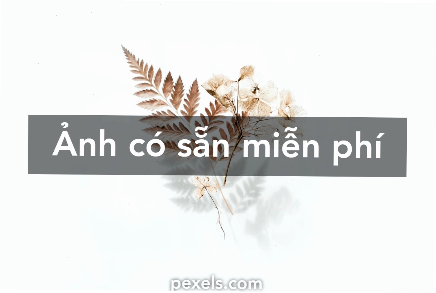 Ảnh bìa Facebook phong cảnh thiên nhiên với tông màu trắng chủ đạo