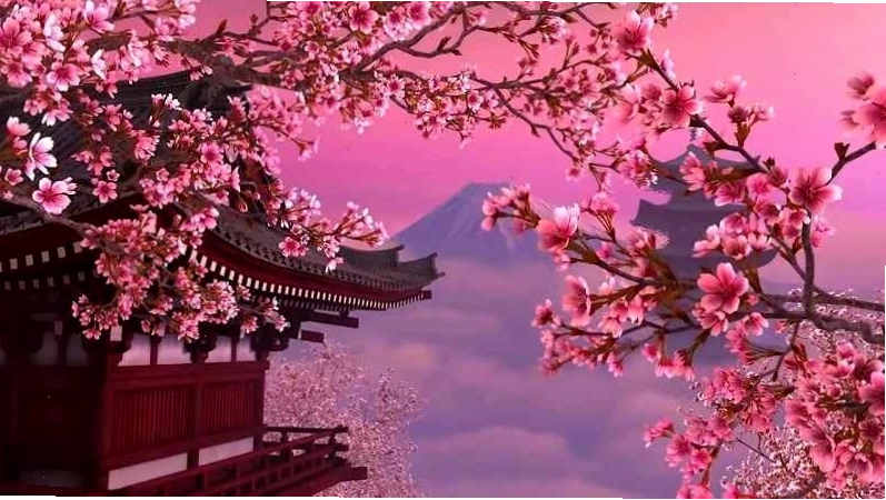 Anime đi dạo trong công viên hoa anh đào