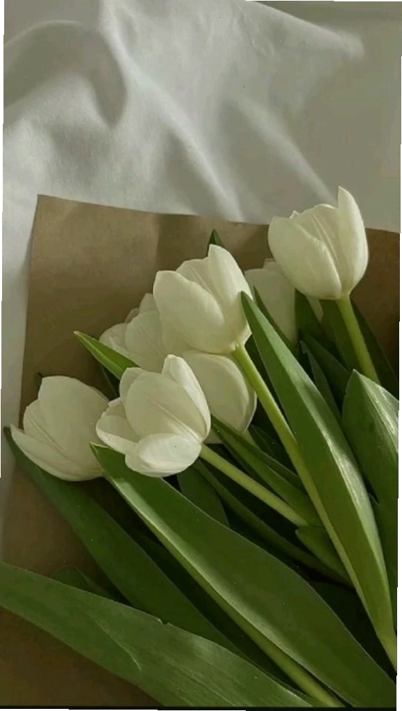 Bó hoa tulip tím tượng trưng cho tình yêu thủy chung