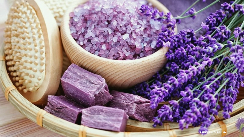 Bức ảnh hoa oải hương nghệ thuật