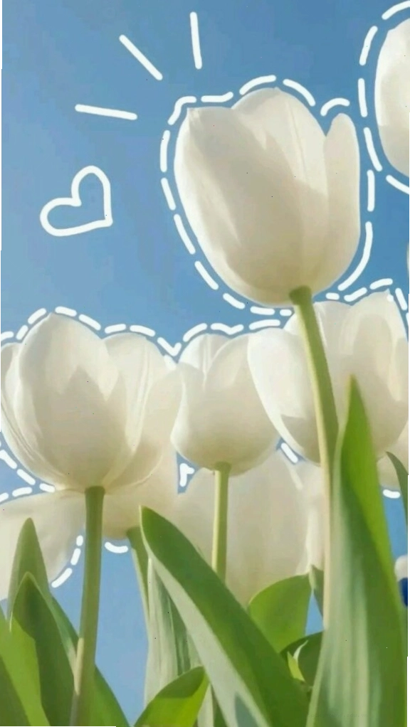 Cận cảnh bông hoa tulip với sắc xanh lá cây tươi tắn