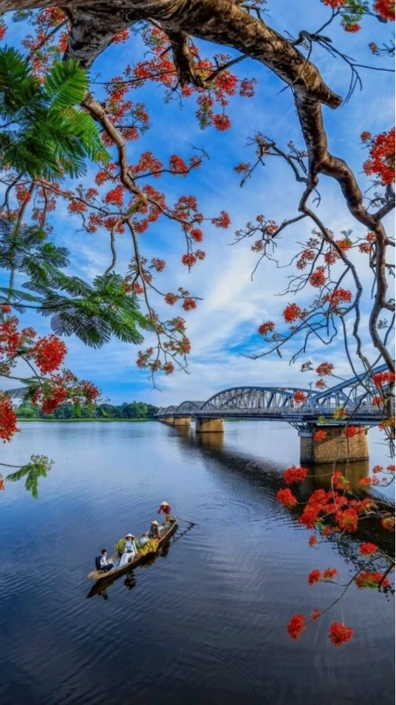 Cành hoa đỏ bên hồ sông Hương với ánh sáng hoàng hôn