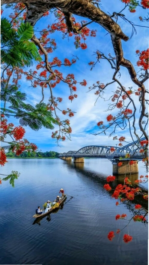 Cành hoa đỏ bên mặt hồ sông Hương tĩnh lặng, ảnh nền máy tính mùa thu
