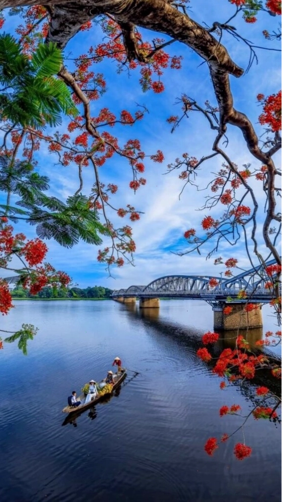 Cành hoa đỏ bên mặt hồ tĩnh lặng vào một chiều thu