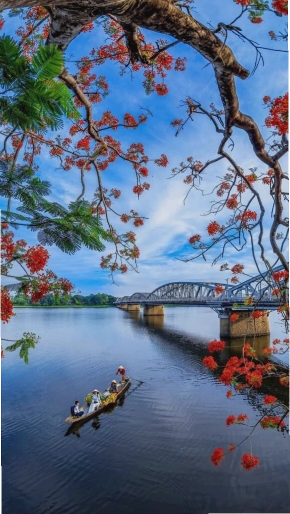 Cành hoa đỏ bên mặt hồ yên tĩnh
