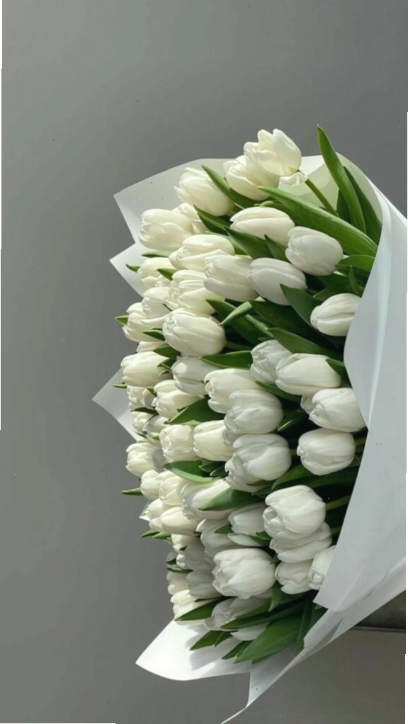 Chùm hoa tulip rực rỡ sắc màu