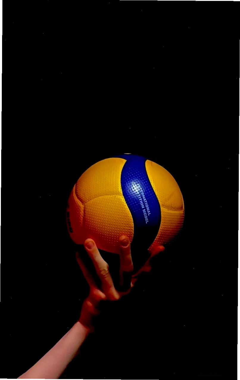 Hình ảnh động (live wallpaper) về một pha bóng chuyền
