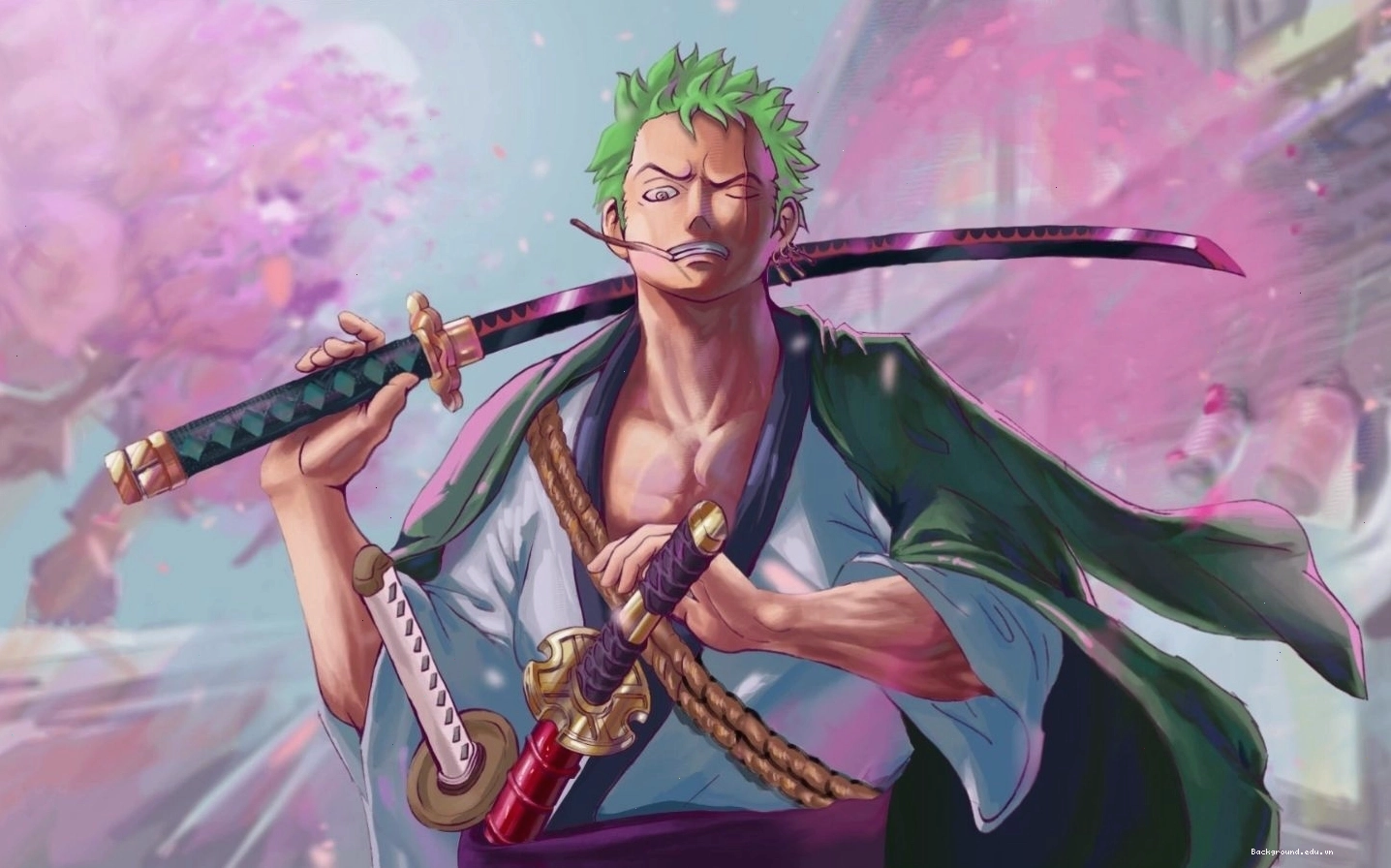 Hình ảnh Zoro đang trong thế tấn công