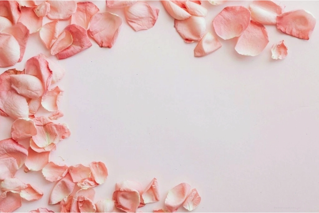 Hình nền 1 màu hồng pastel cho điện thoại