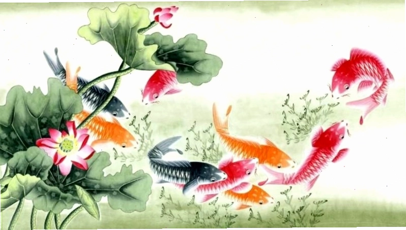 Hình nền cá chép hoa sen với gam màu xanh chủ đạo
