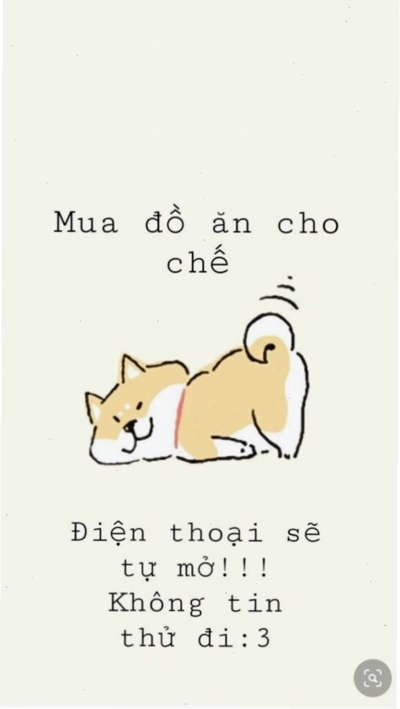 Hình nền cute chú mèo con màu trắng với đôi mắt xanh to tròn
