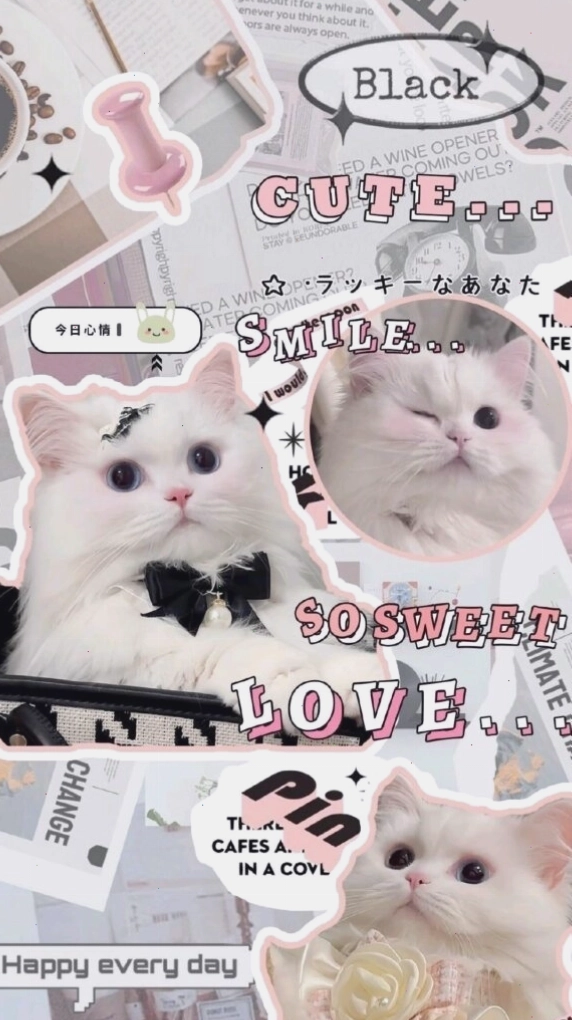 Hình nền điện thoại cute với các loại trái cây nhiệt đới đầy màu sắc