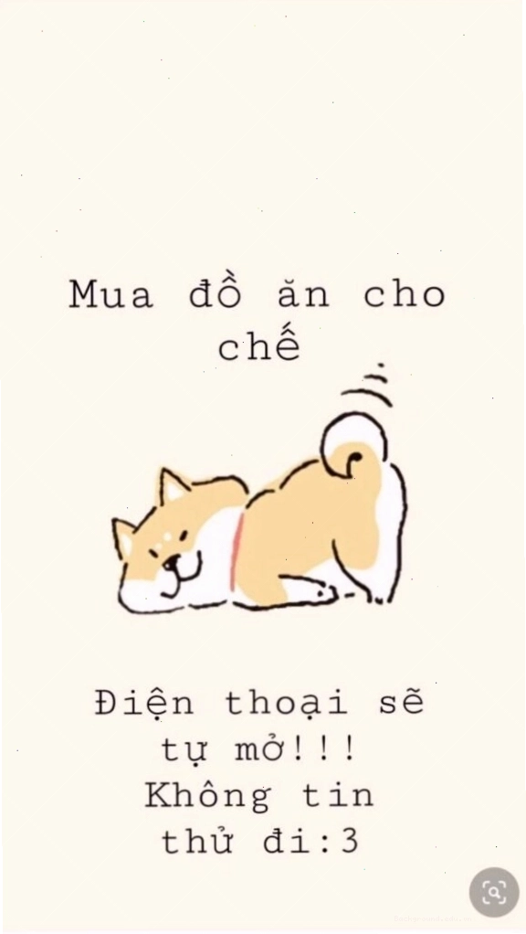 Hình nền điện thoại cute với chú mèo đeo nơ