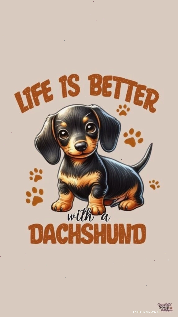 Hình nền điện thoại cute với gấu bông