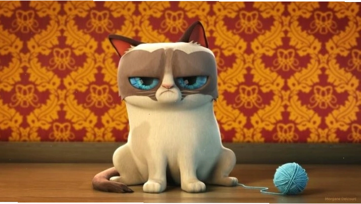 Hình nền động mèo con dễ thương