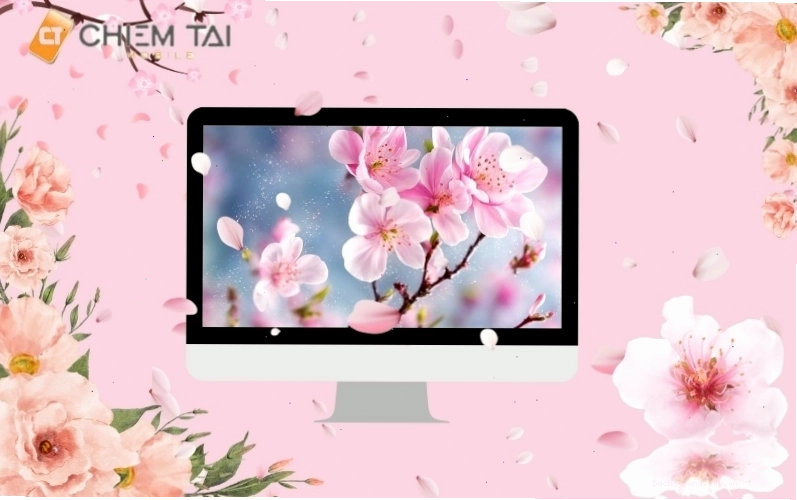Hình nền hoa anh đào 3D cho máy tính với khung cảnh thiên nhiên hùng vĩ