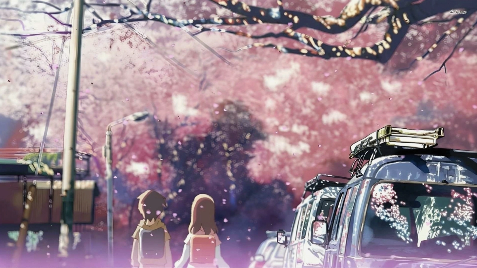 Hình nền hoa anh đào rơi theo phong cách điện ảnh anime