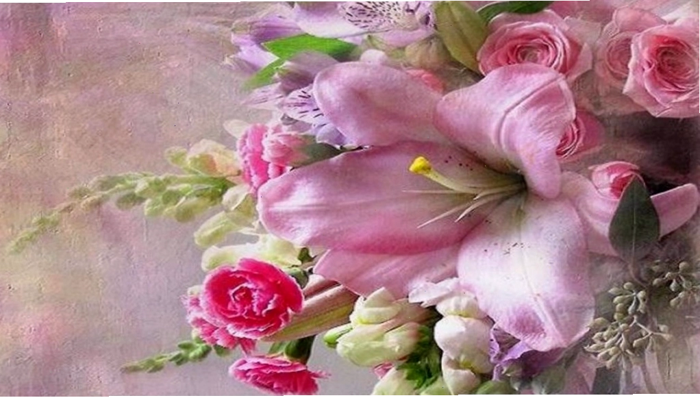Hình nền hoa cẩm chướng với tông màu tím lãng mạn