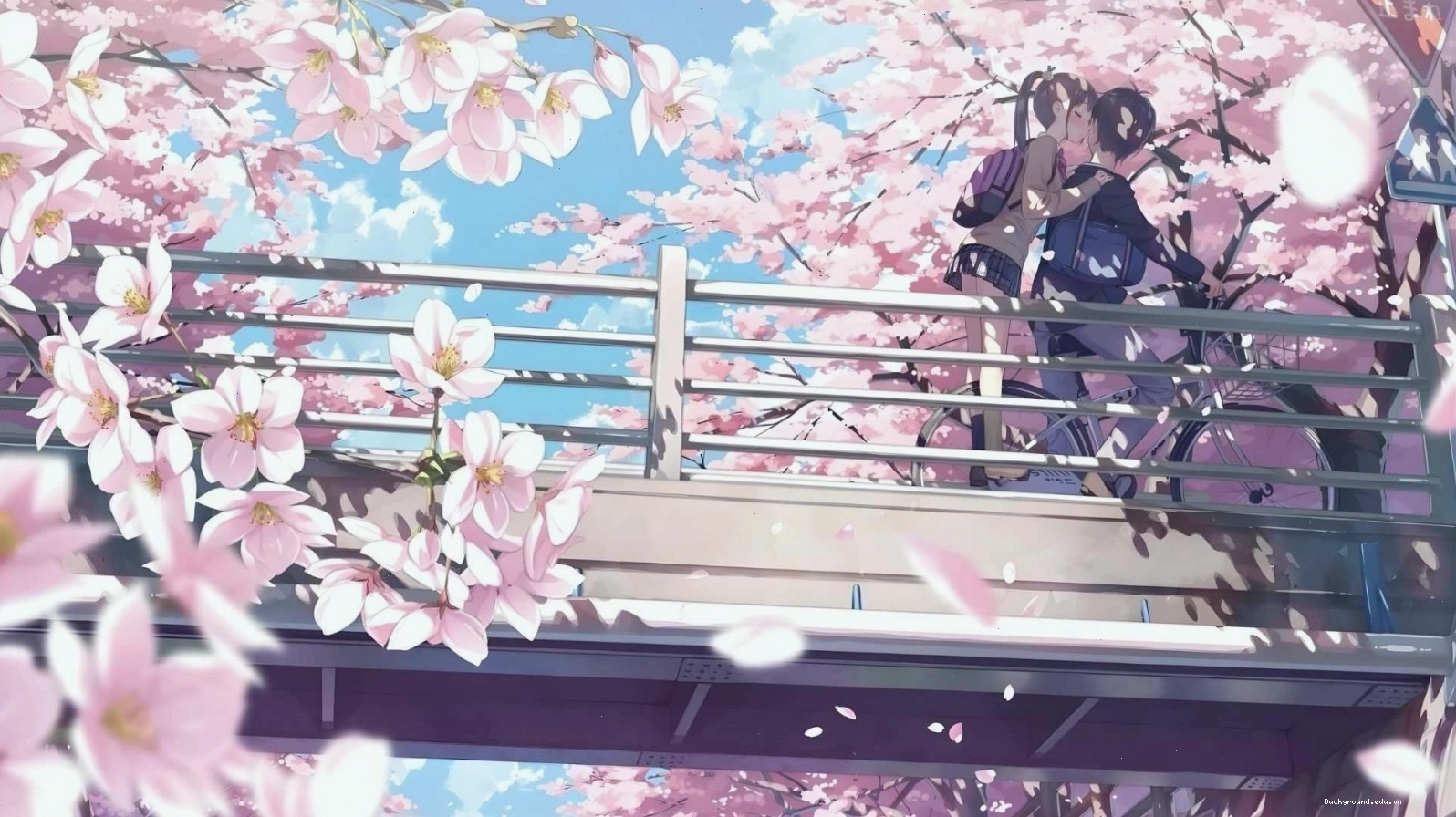 Hình nền hoa đào anime với các cô gái trẻ trung