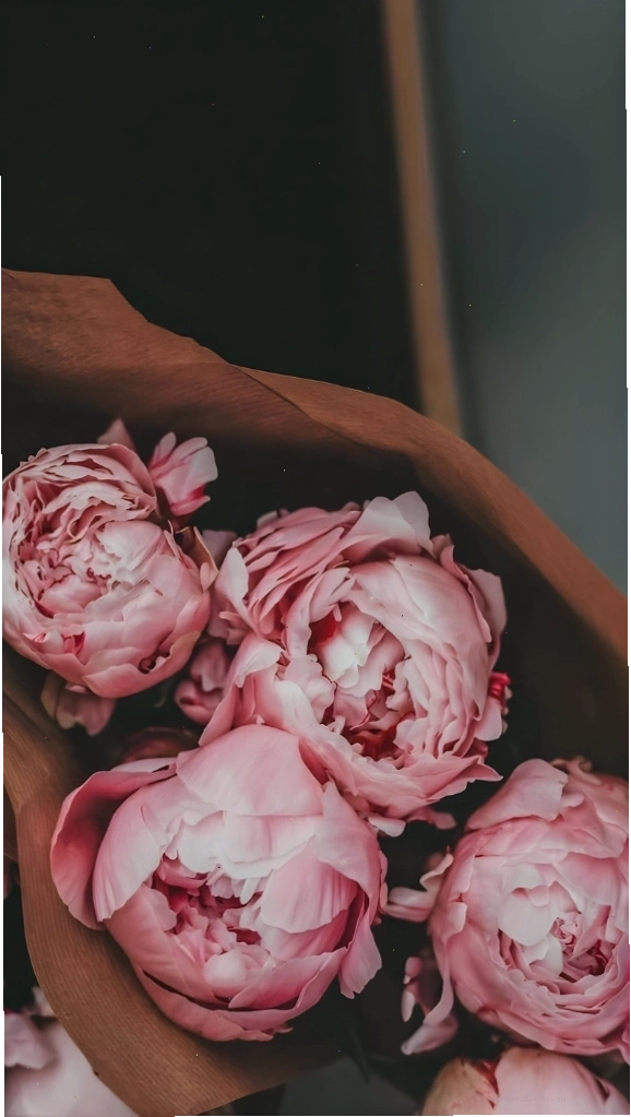 Hình nền hoa mẫu đơn hồng màu vintage