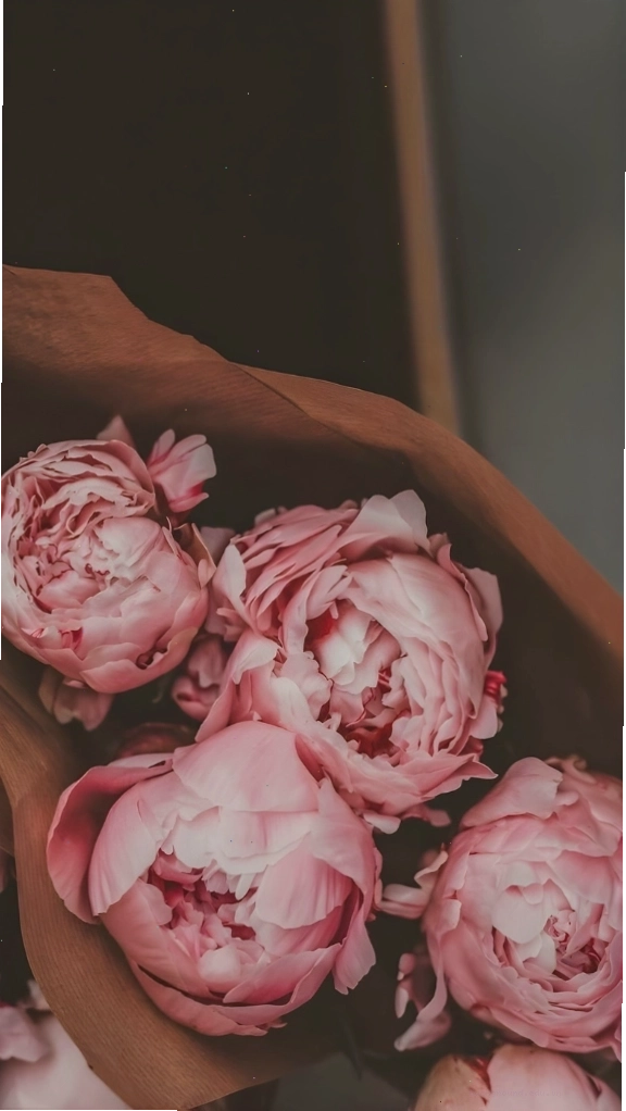 Hình nền hoa mẫu đơn hồng màu vintage hoài cổ
