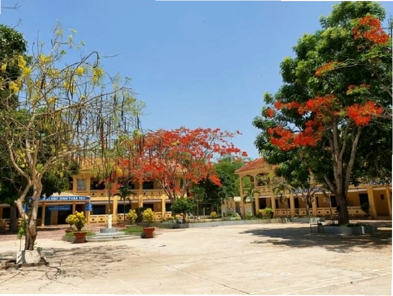 Hình nền hoa phượng vĩ mang vẻ đẹp cổ điển
