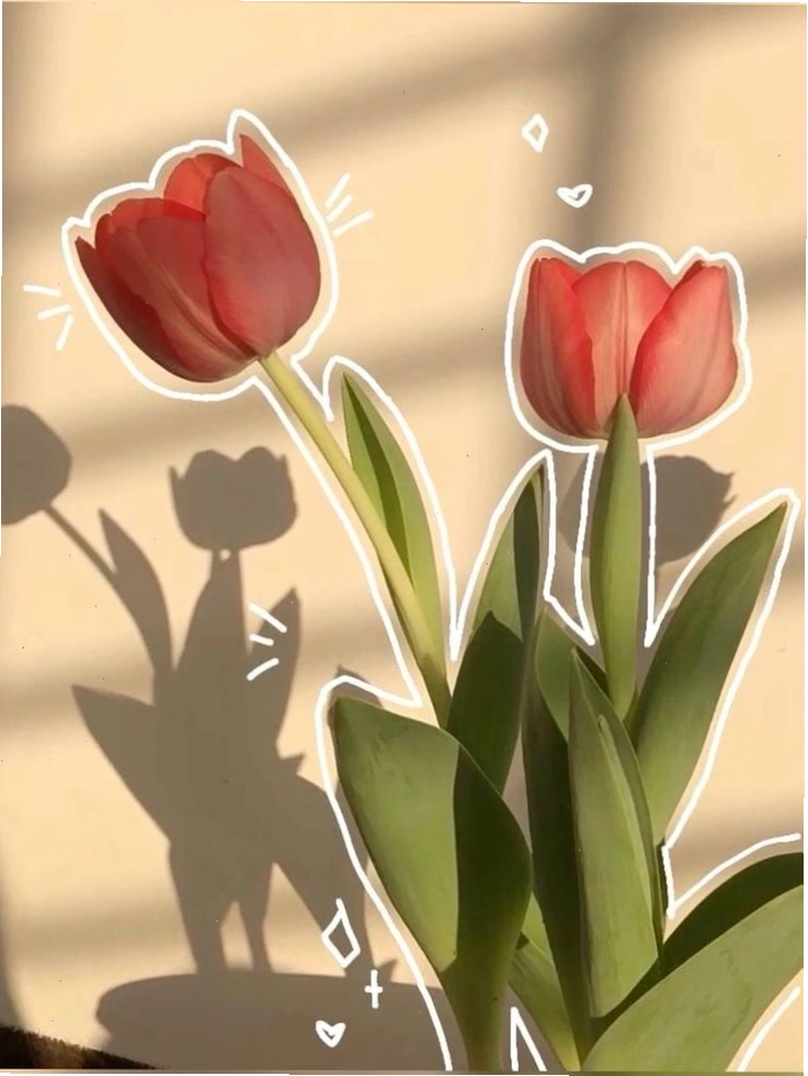 Hình nền hoa tulip chill vẽ dịu dàng